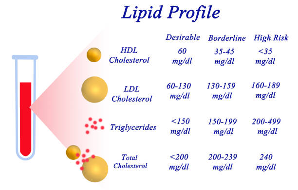 normal cholesterol level