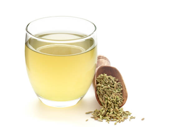fennel is best acid reflux relief food
