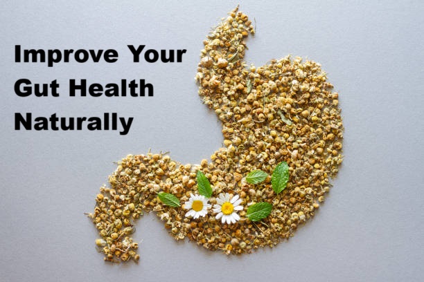 Best Ways to Improve Gut Health