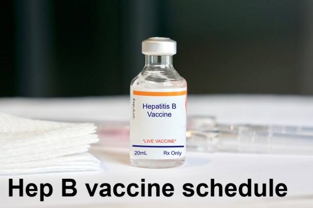 Hepatitis B Vaccine Adult Schedule: Stay Safe with the Right Timing & Doses