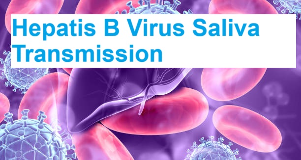 Can Hepatitis B Be Transmitted Through Saliva? Shocking Facts Finally Explained