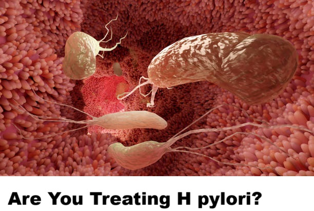 diet plan during h pylori treatment