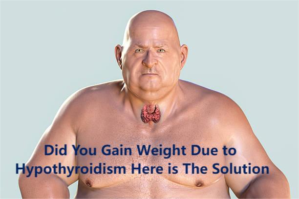 Weight Gain in Hypothyroidism: Why It Happens and How to Stop It